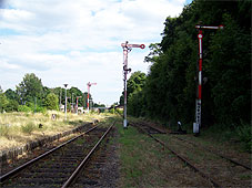 min 339 5.jpg min 339 5.jpg